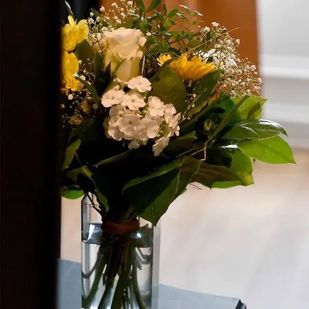 Ξενοδοχείο Le Tiburon Cherbourg-en-Cotentin