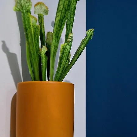 Le Tiburon Cherbourg-en-Cotentin