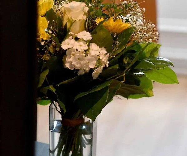 Hotel Le Tiburon Cherbourg-en-Cotentin